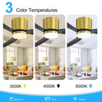 Ventilateur de plafond encastré noir/blanc de 52 pouces avec télécommande et éclairage LED (3 pales)