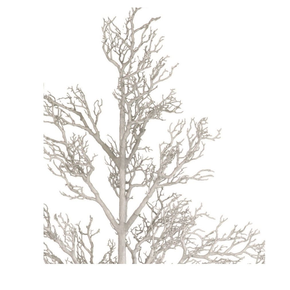 96 brindilles d'arbre mort