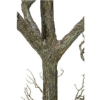 96 brindilles d'arbre mort