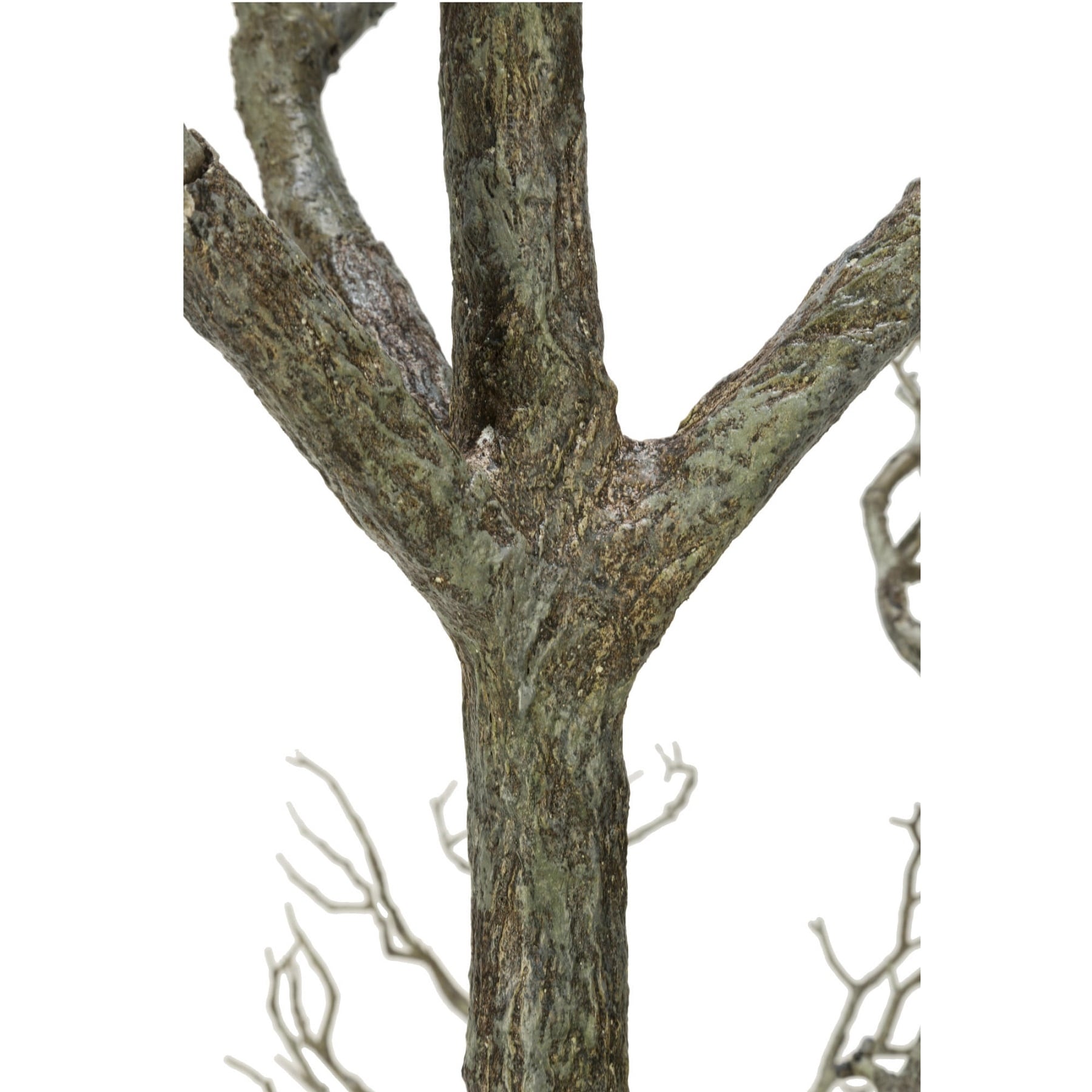 96 brindilles d'arbre mort