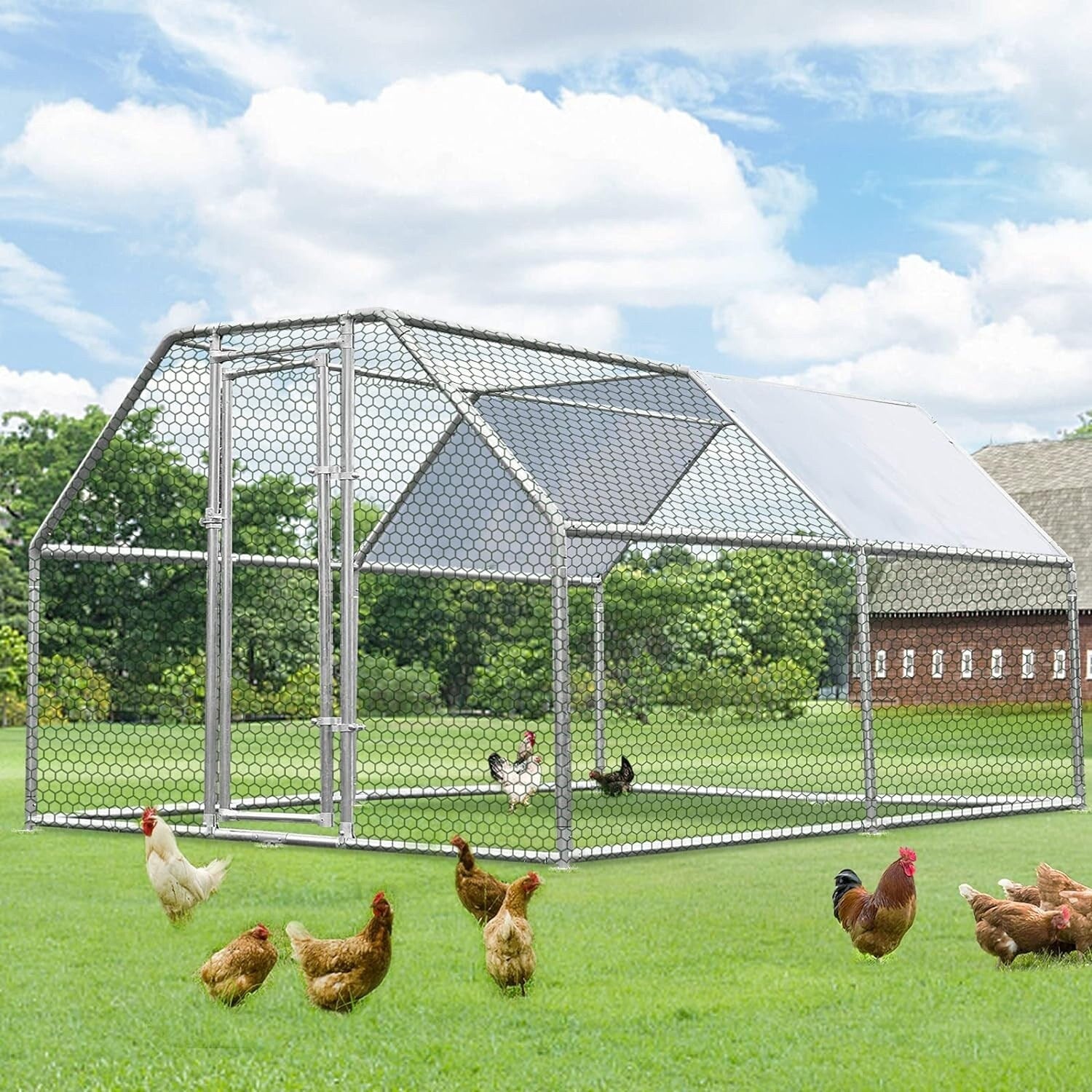 AECOJOY Grand poulailler métallique avec enclos et cage à poules accessibles à pied