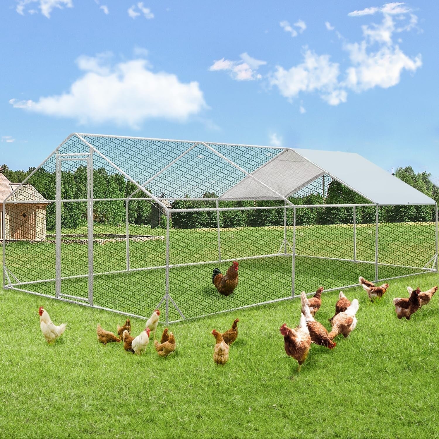 AECOJOY Grand poulailler métallique avec enclos et cage à poules accessibles à pied